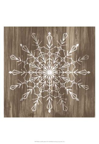 Barnwood Wonderland VI