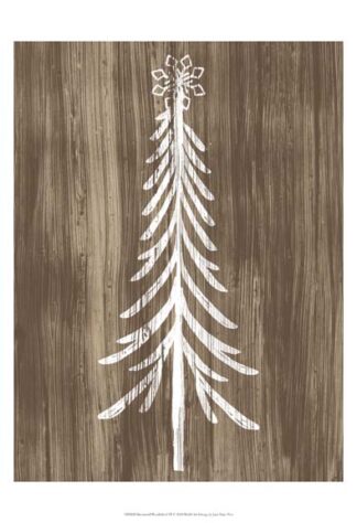 Barnwood Wonderland IX