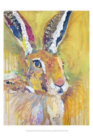 Harriet The Hare