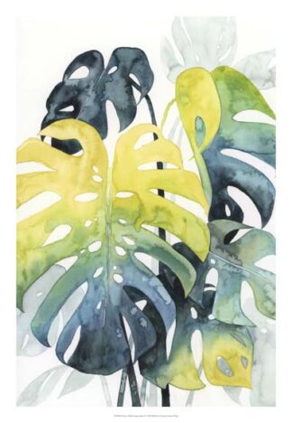 Sunset Palm Composition I