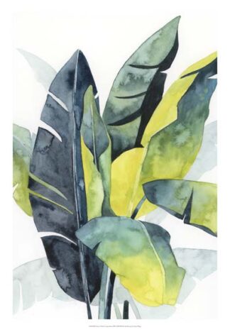 Sunset Palm Composition III