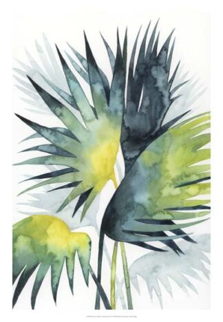 Sunset Palm Composition IV