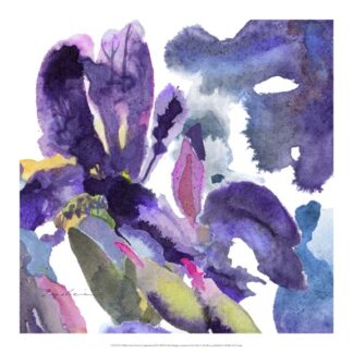 Watercolor Flower Composition II