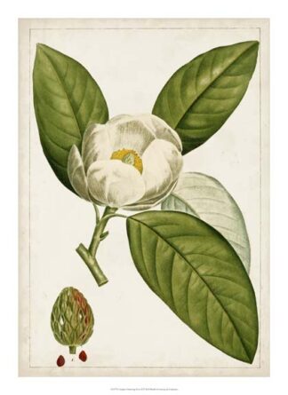 Antique Flowering Trees II