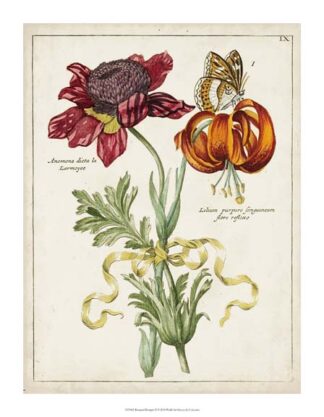 Botanical Bouquet II