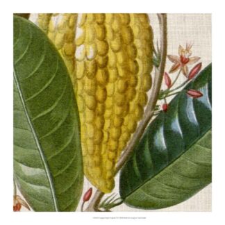 Cropped Turpin Tropicals VI