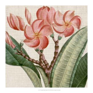 Cropped Turpin Tropicals VII