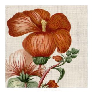 Cropped Turpin Tropicals VIII