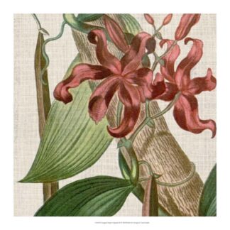 Cropped Turpin Tropicals IX