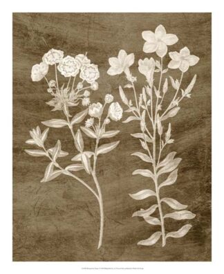 Botanical in Taupe I