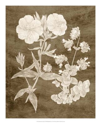 Botanical in Taupe II