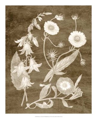 Botanical in Taupe III