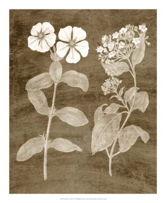 Botanical in Taupe IV