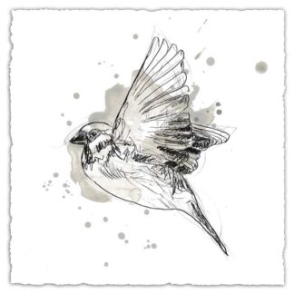 Gestural Bird Study I