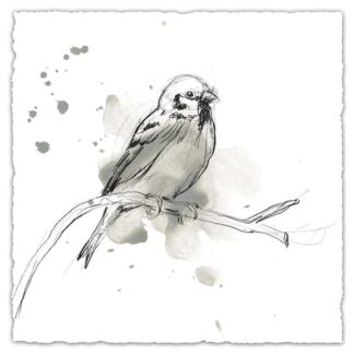 Gestural Bird Study II