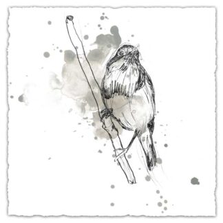 Gestural Bird Study III