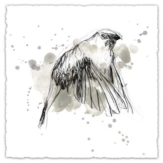 Gestural Bird Study IV