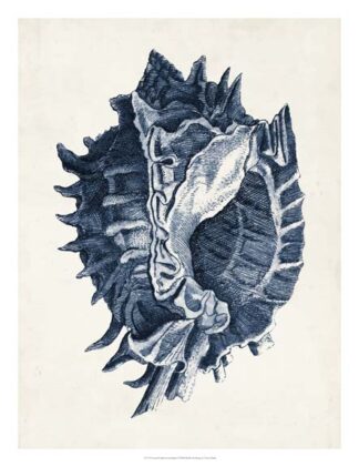 Coastal Collection in Indigo I