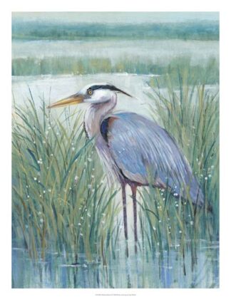 Wetland Heron II