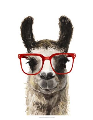 Hip Llama I