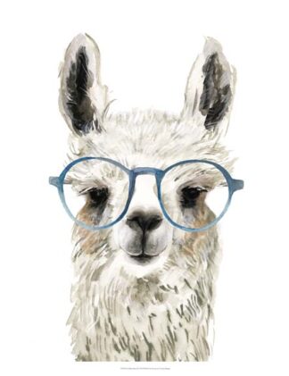 Hip Llama II