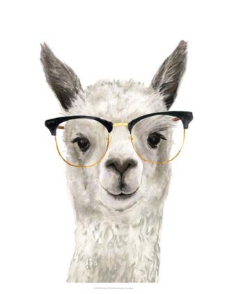 Hip Llama IV