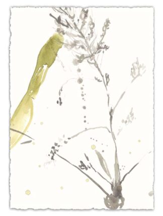 Under Sea Forest VIII