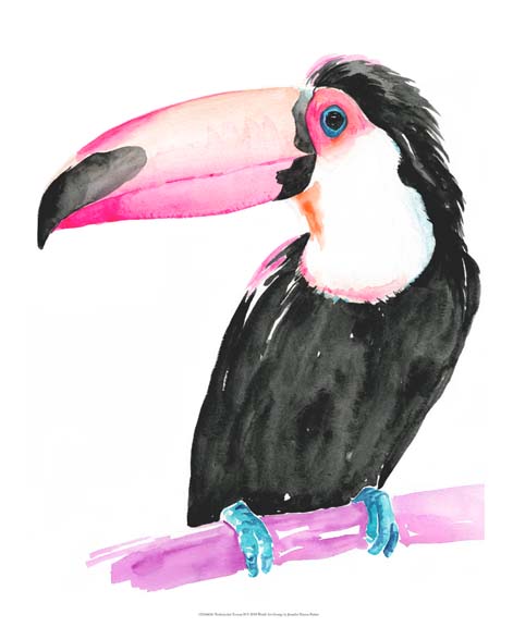 Technicolor Toucan II