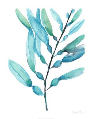 Watercolor Kelp I