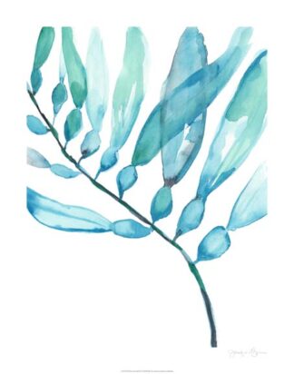 Watercolor Kelp II