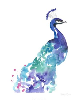 Peacock Splash I