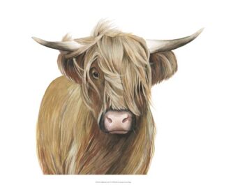 Highland Cattle I