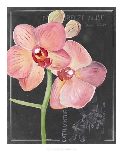 Chalkboard Flower I