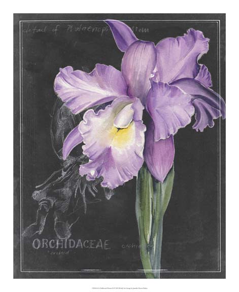 Chalkboard Flower II