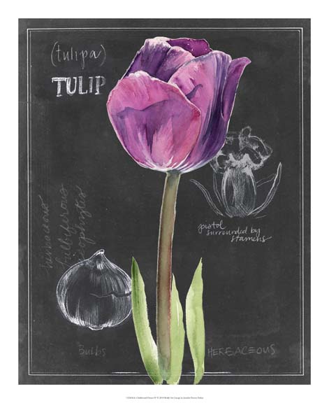 Chalkboard Flower IV