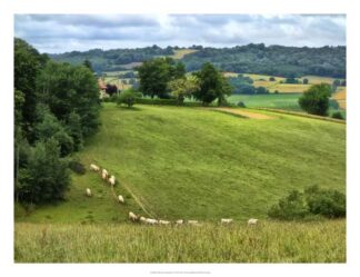 Pastoral Countryside V