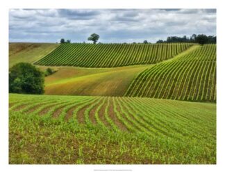 Pastoral Countryside VI