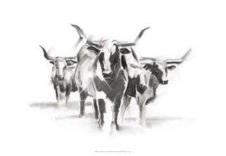 Contemporary Cattle I
