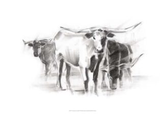 Contemporary Cattle II