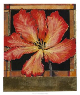 Embellished Parrot Tulip I