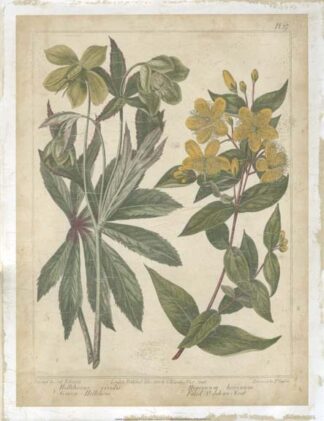 Enchanted Garden III