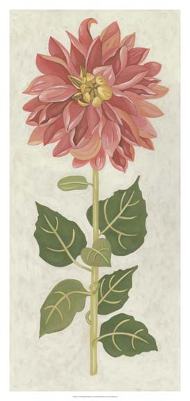 Non-Embellished Dahlia I
