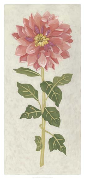 Non-Embellished Dahlia II