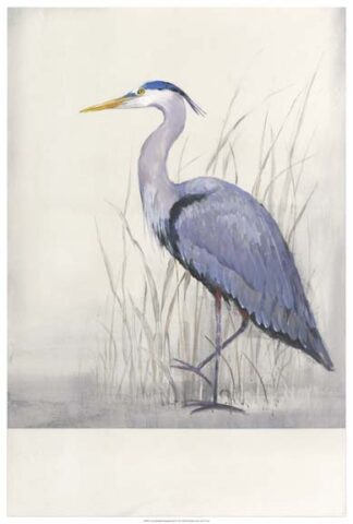 Non-Embellished Keeping Watch II