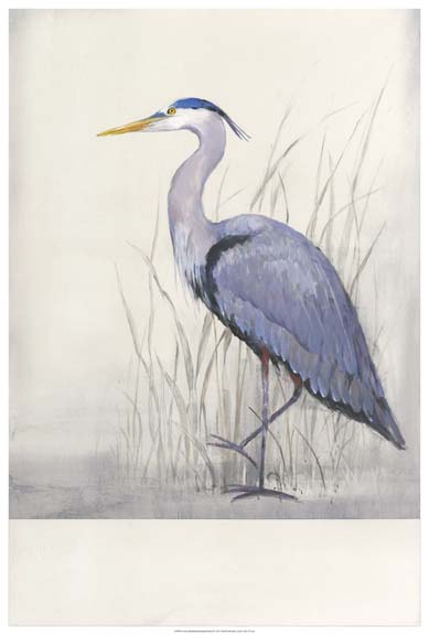 Non-Embellished Keeping Watch II