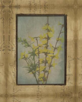 Photographic Floral Collage IV