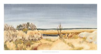 The Sound Shoreline II