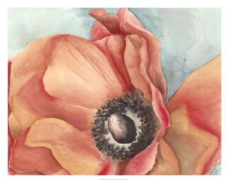 Watercolor Poppy I