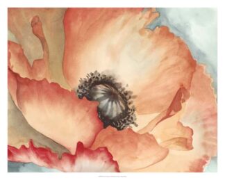 Watercolor Poppy II