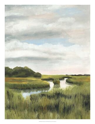 Marsh Landscapes I